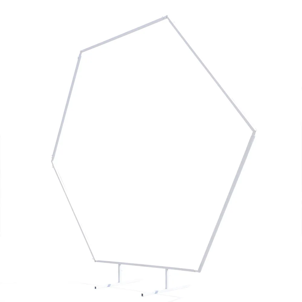 white hexagon frame